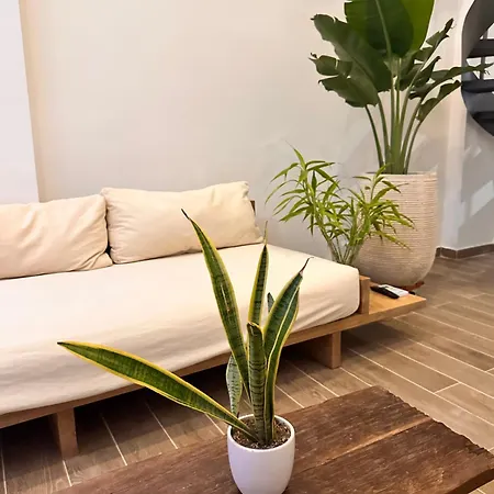 Old Duplex With Roof Pool Apartamento