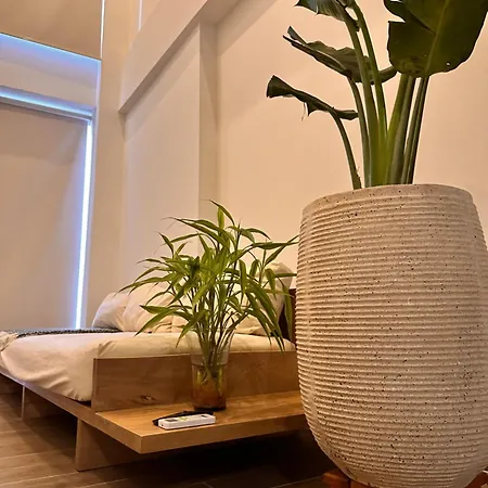 Old Duplex With Roof Pool * Cartagena
