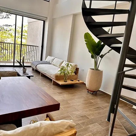 Old Duplex With Roof Pool Apartamento *